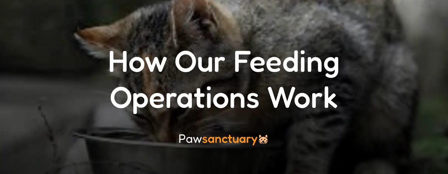 How Our Feeding Operations Work