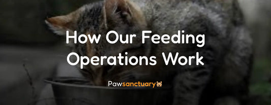 How Our Feeding Operations Work