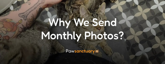 Why We Send Monthly Photos