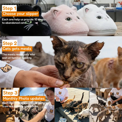 Paw Sanctuary Slides