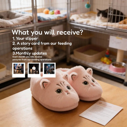 Paw Sanctuary Slides